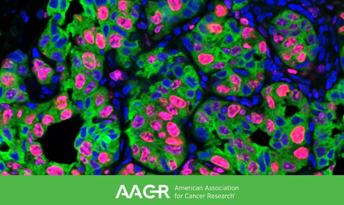 AACR Conference