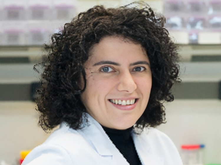 Radiogenomics