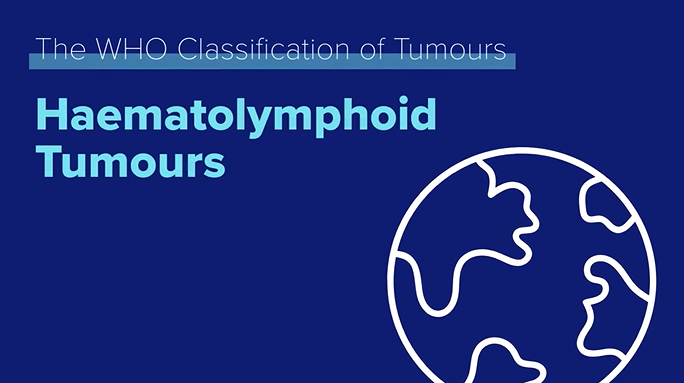 The Haematolymphoid Tumours