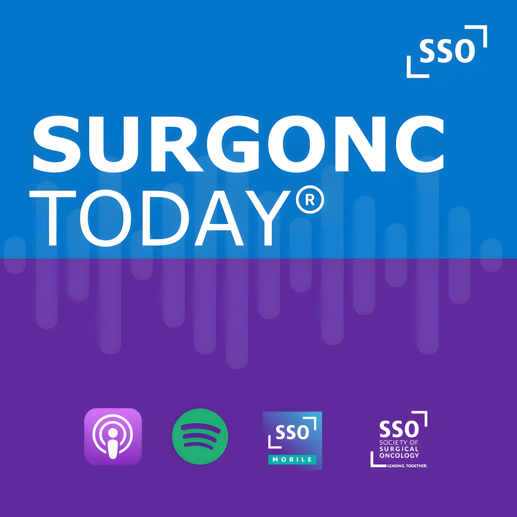 Society of Surgical Oncology