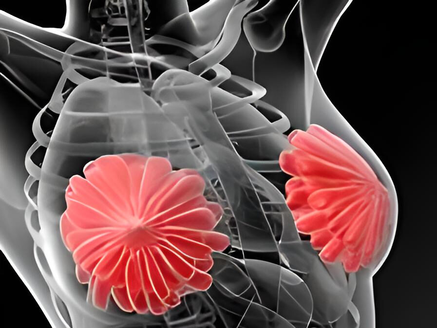Patterns of Survivorship