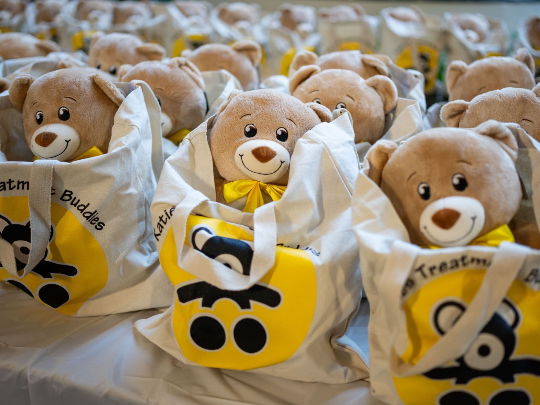 Teddy Bear Clinic