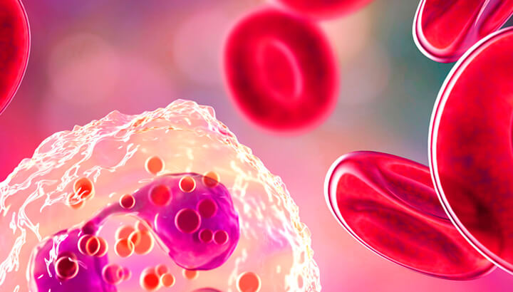 erythroid