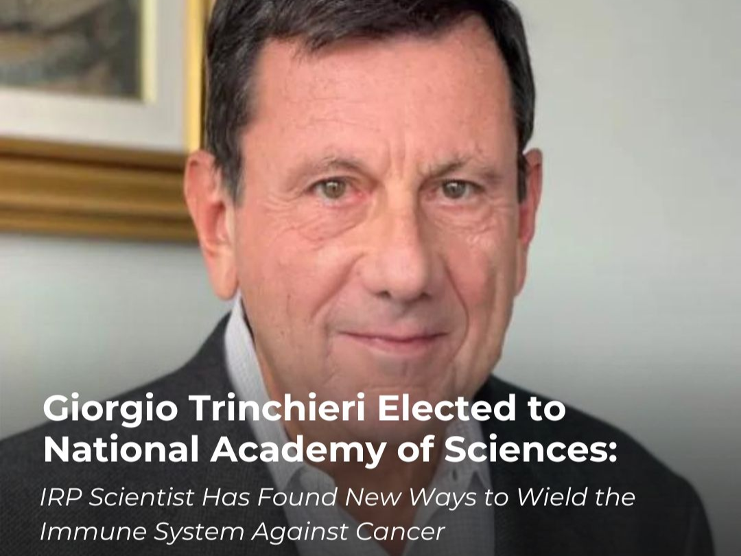 Giorgio Trinchieri