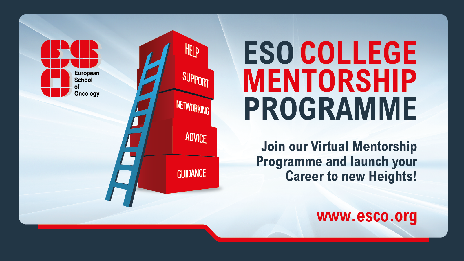 ESO College Mentorship Programme