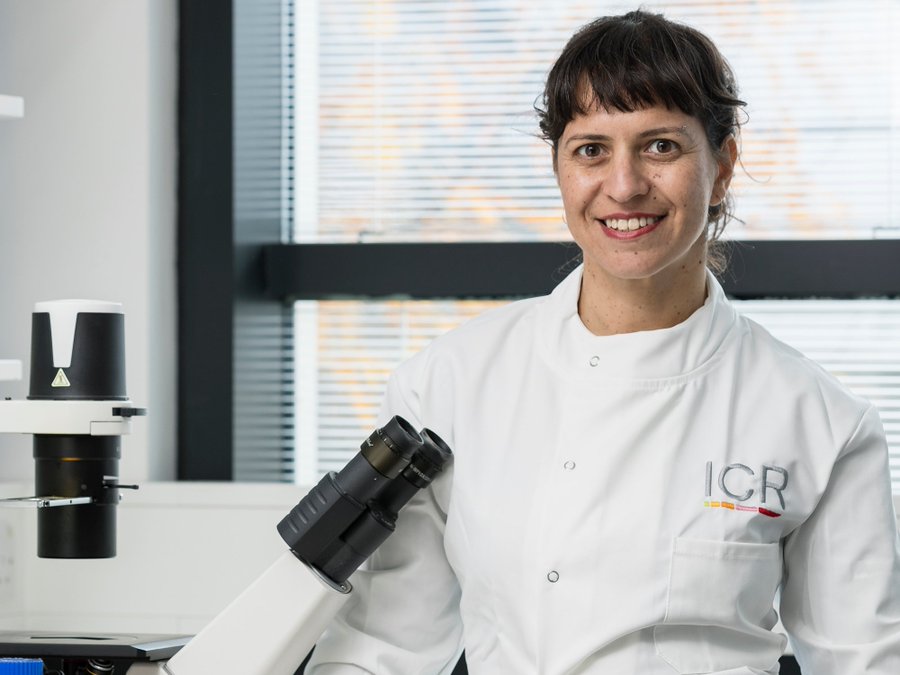 The Institute of Cancer Research