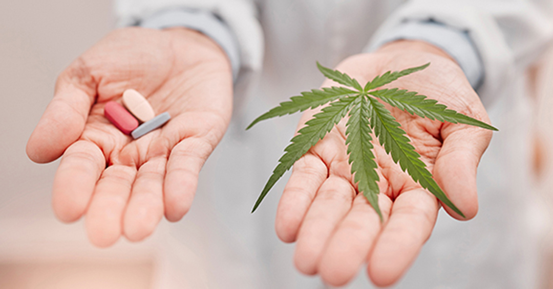 Exploring the Growing Potential of Cannabis in Cancer Care at SIO2024 - Society for Integrative Oncology