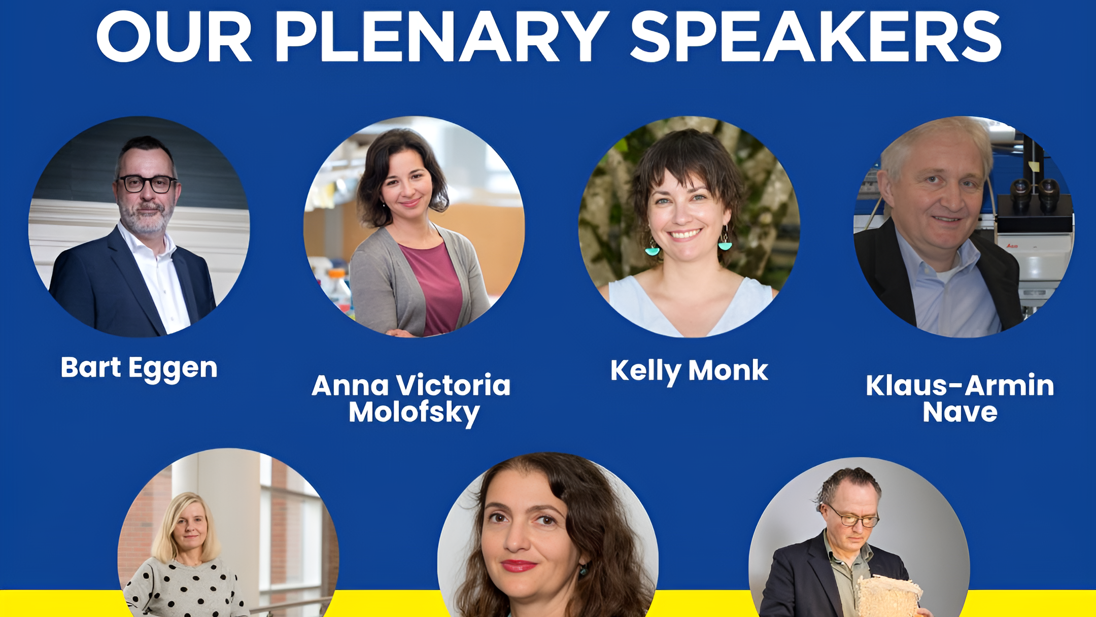 European Glial Meeting