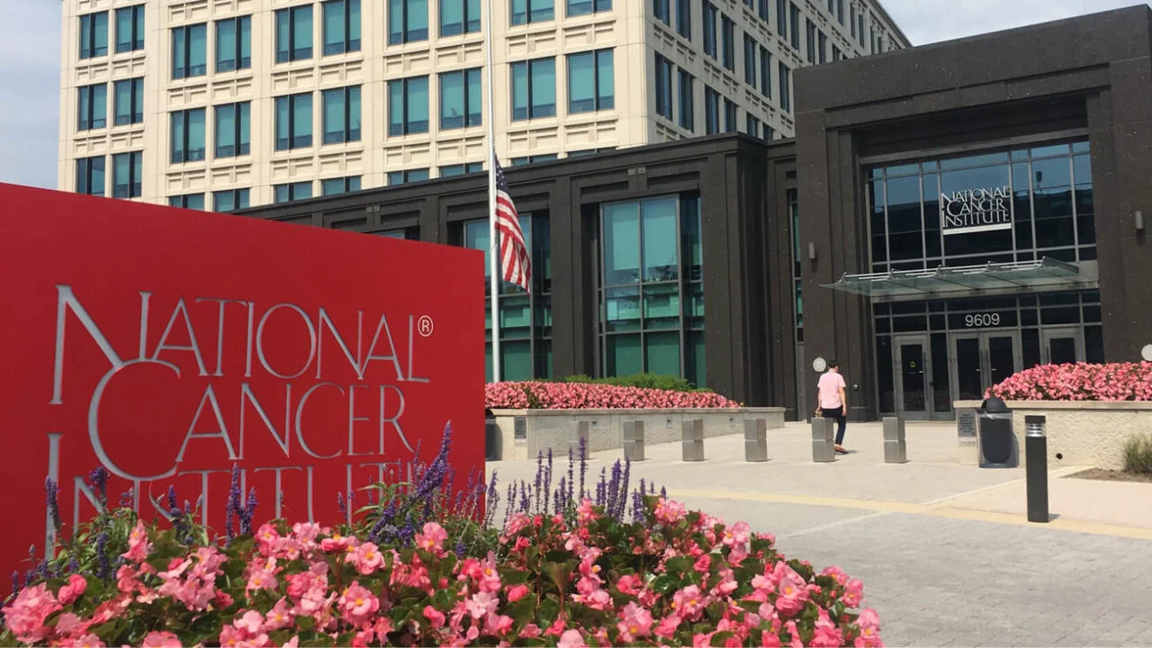 NCI National Cancer Institute NCI Division of Cancer Prevention