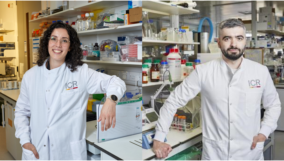 It’s nice to know that what you’re doing is very important to someone specific - The Institute of Cancer Research