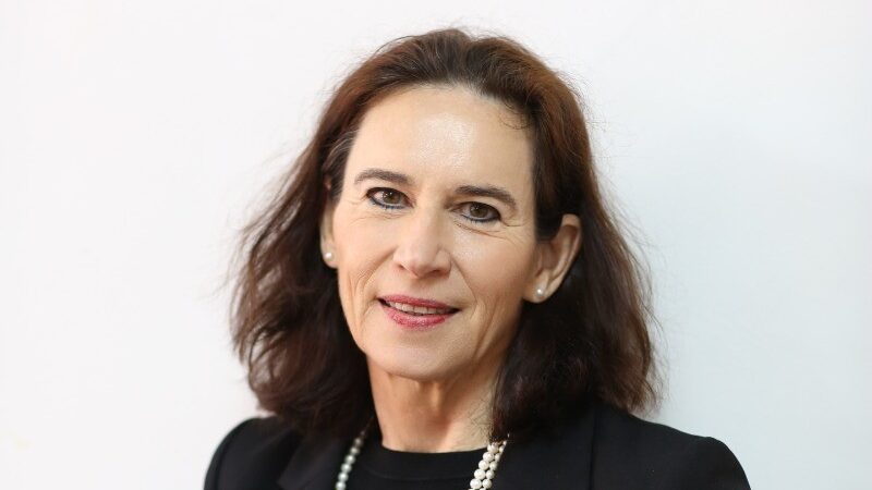 D. Cristina Stefan