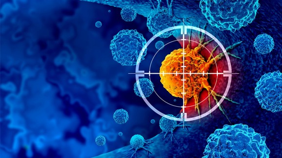 EMBER-4 NCI Division of Cancer Prevention