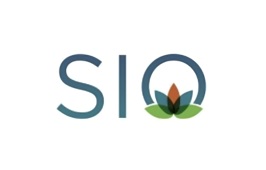 Society for Integrative Oncology - SIO - ASCO guidelines on depression during treatment and after treatment