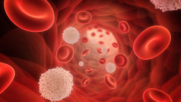 febrile neutropenia