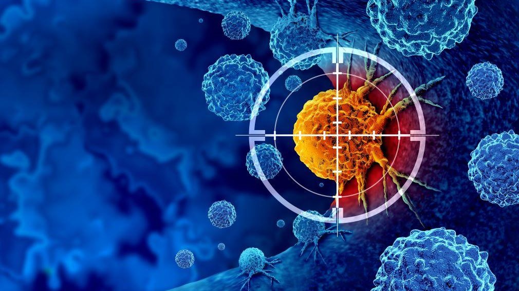 What a Ph.D. student needs to know about Cancer Immunology and Immunotherapy - CCIT-DK