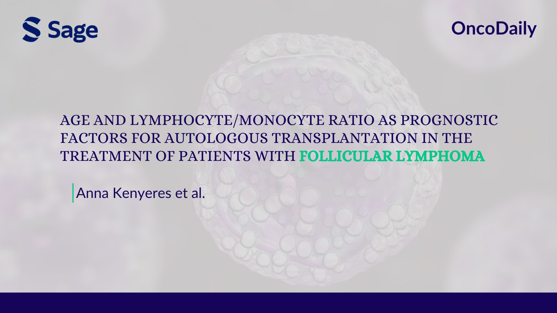 lymphocyte