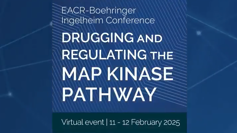MAP Kinase