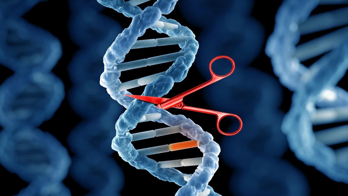 CRISPR