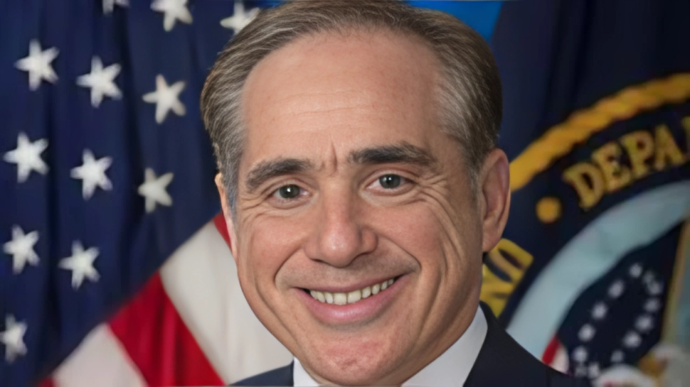 David Shulkin