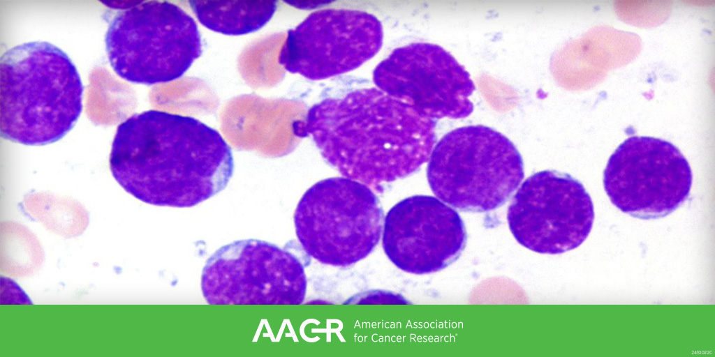 AACR
