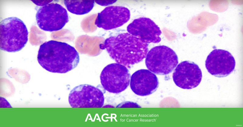 AACR