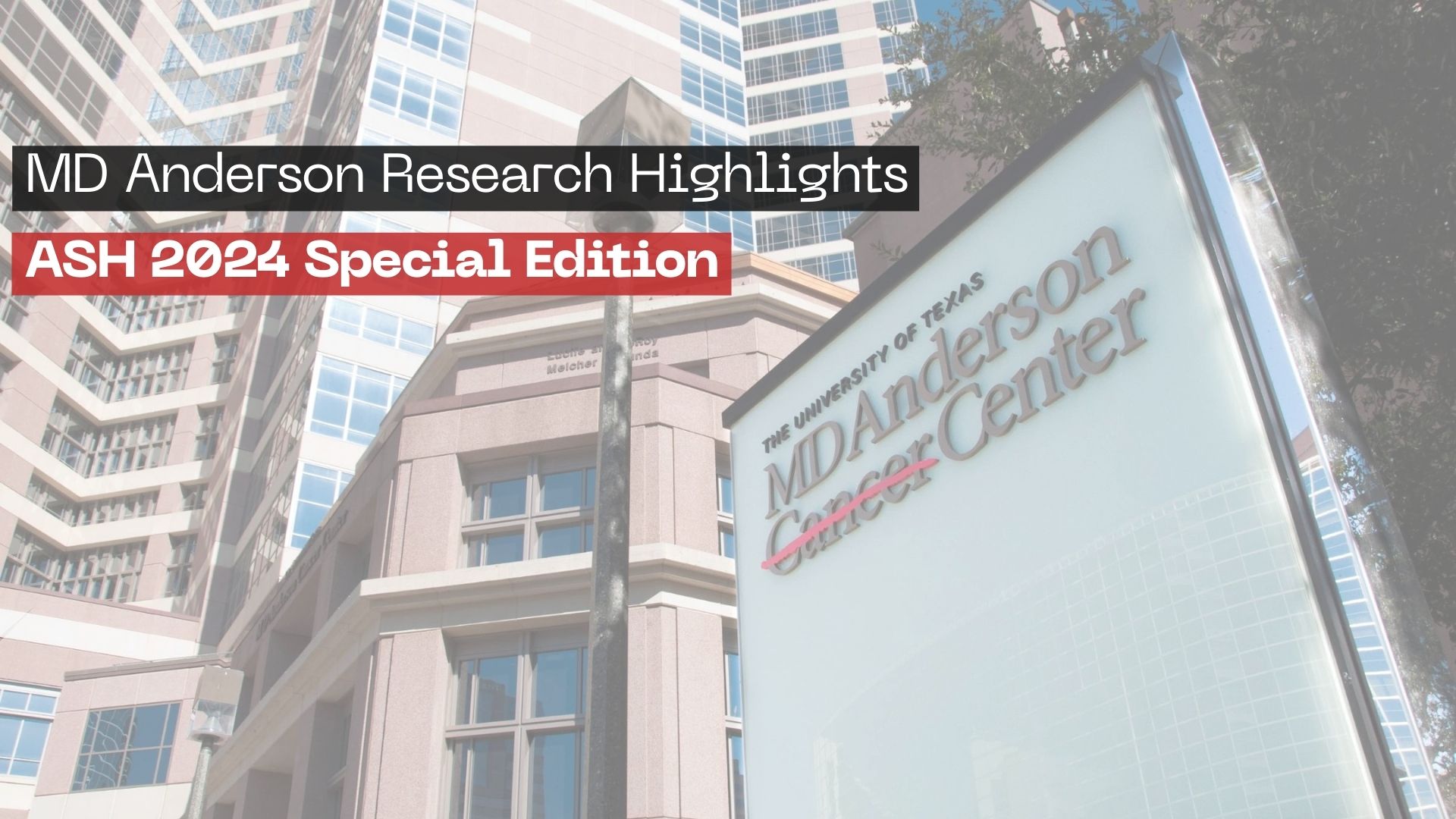 MD Anderson