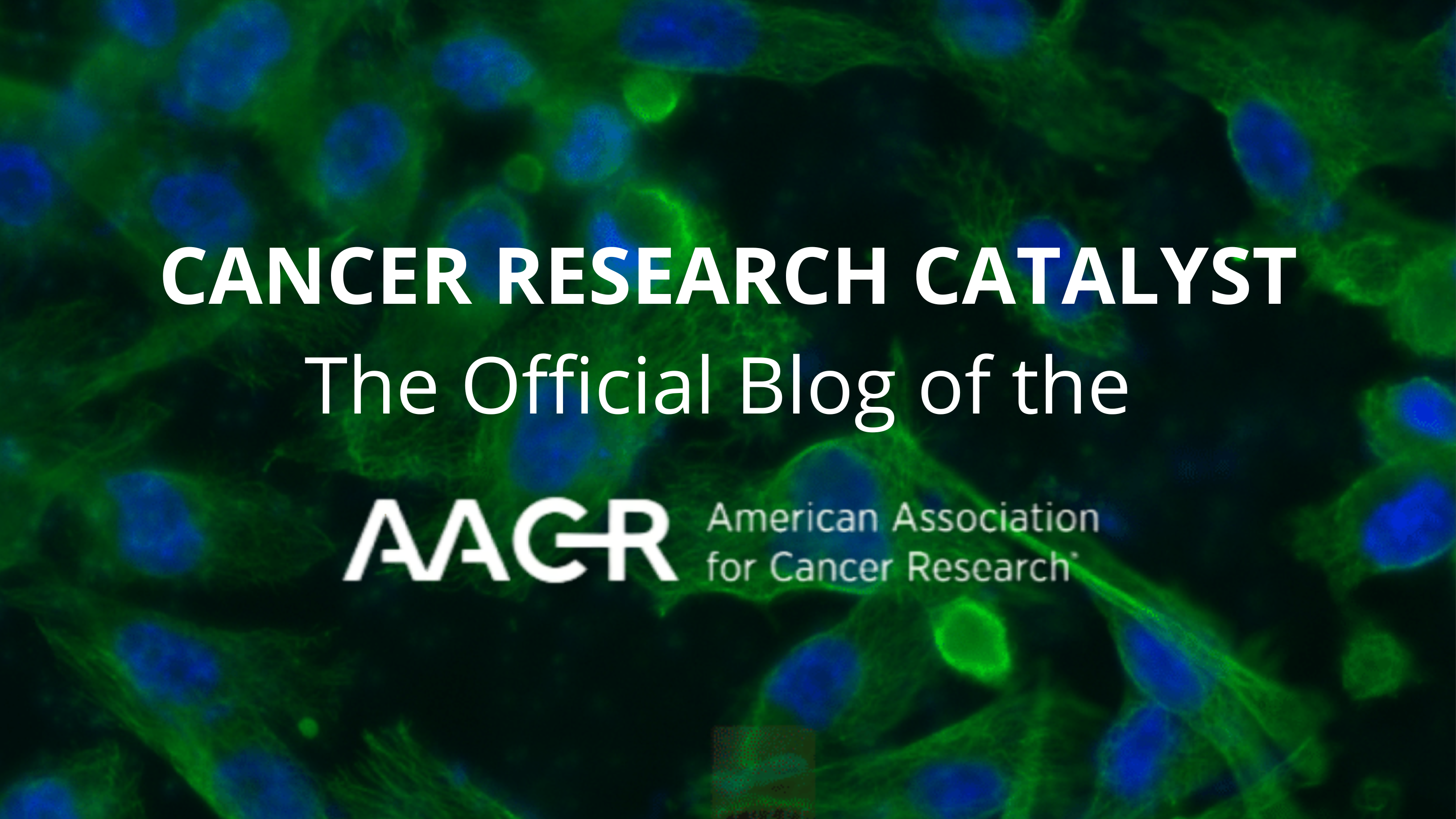 American association for cancer research