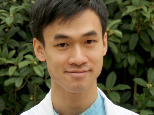 Shing Fung Lee