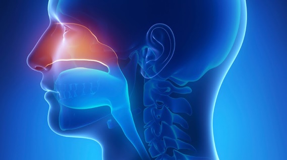 nasopharyngeal carcinoma