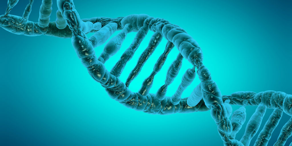 epigenetic code