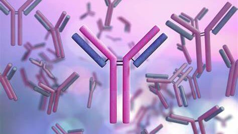 cancer immunotherapy