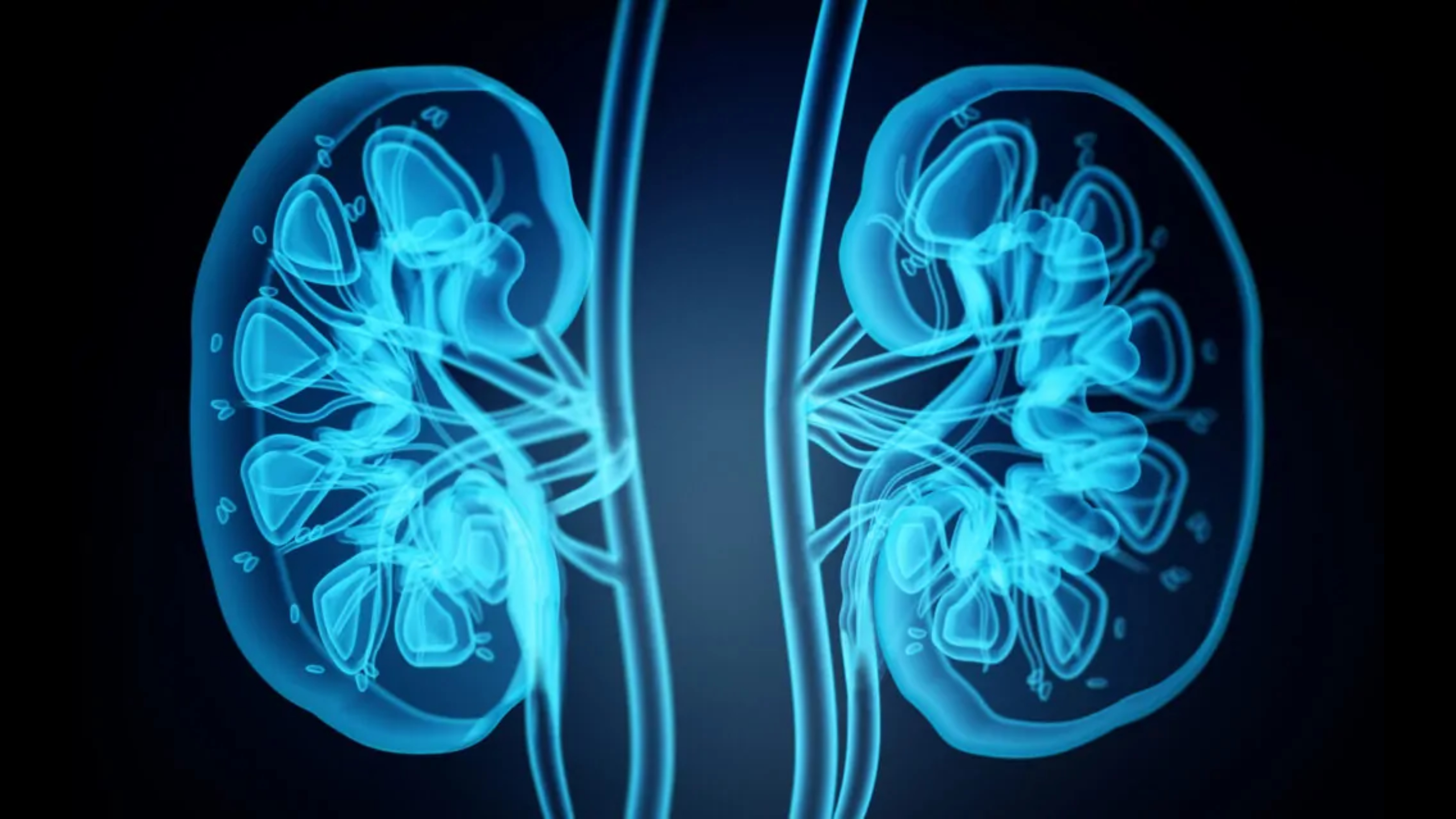 nephrotoxicity