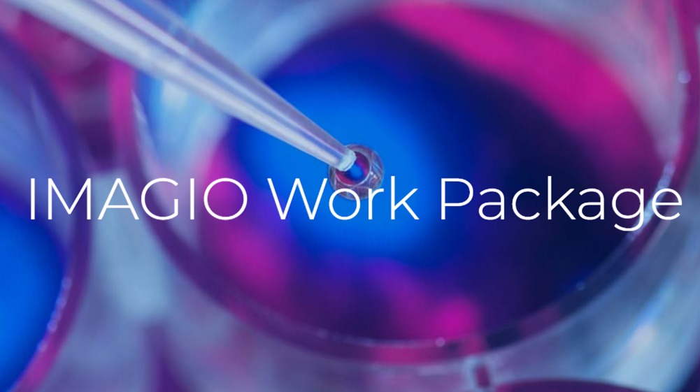 An achievement of the Work Package 3 for IMAGIO - SIOPE