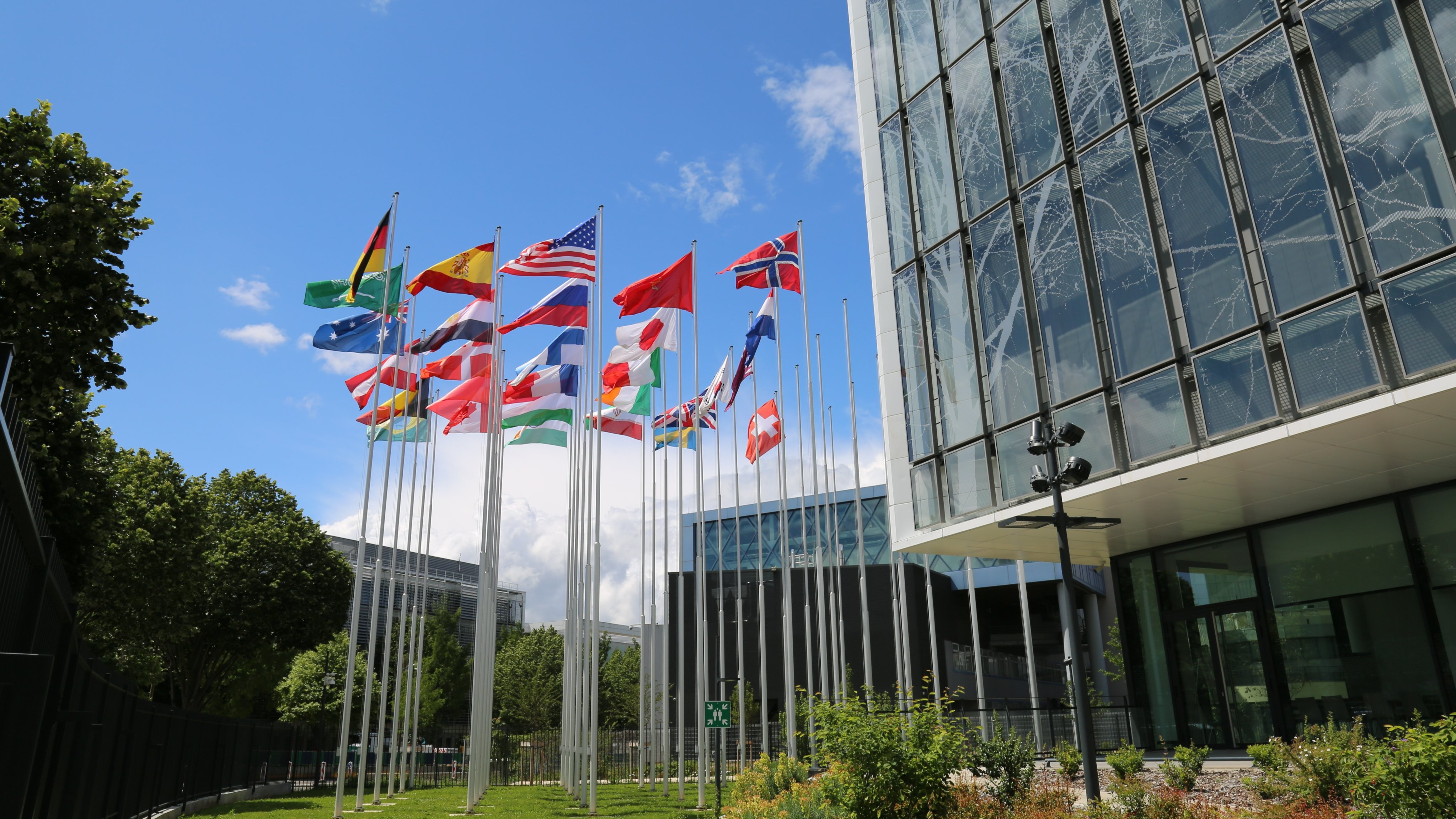 IARC Scientific Council