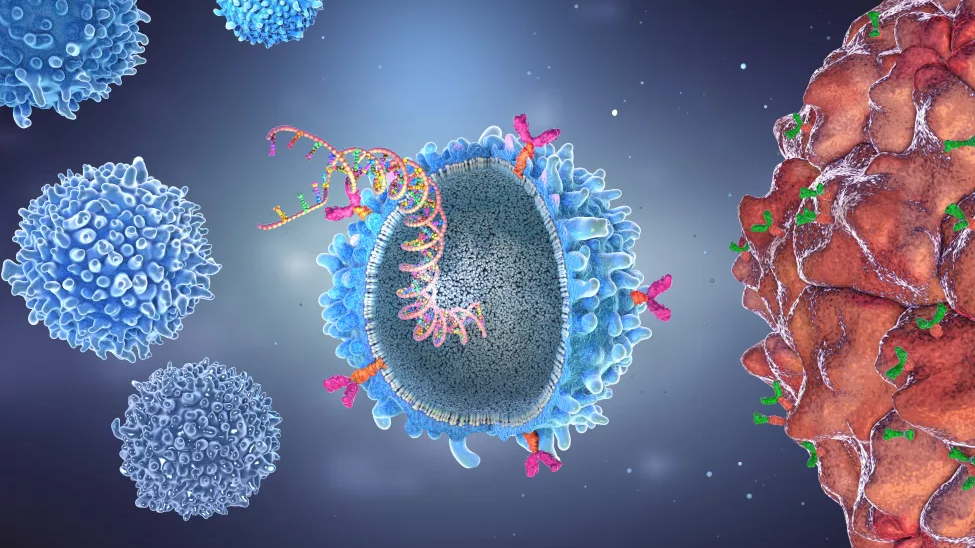 tumor-specific targets