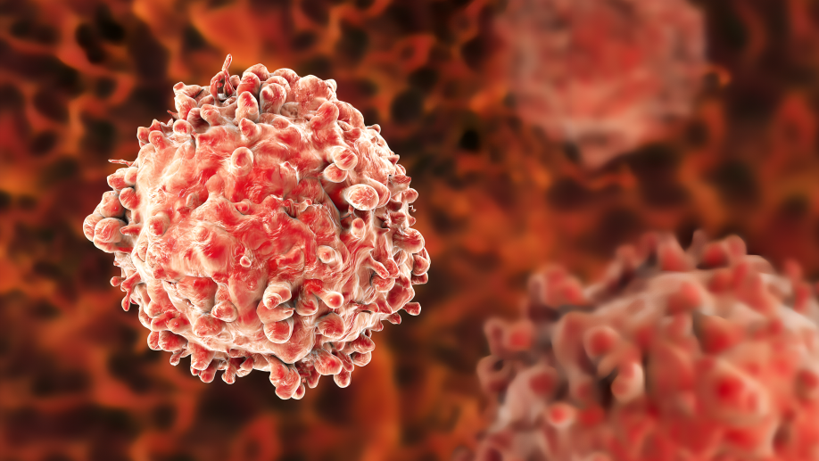 Hematopoietic Stem Cell
