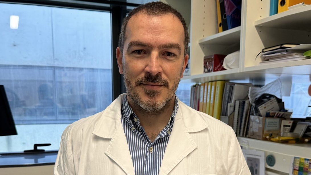 Rui Bergantim