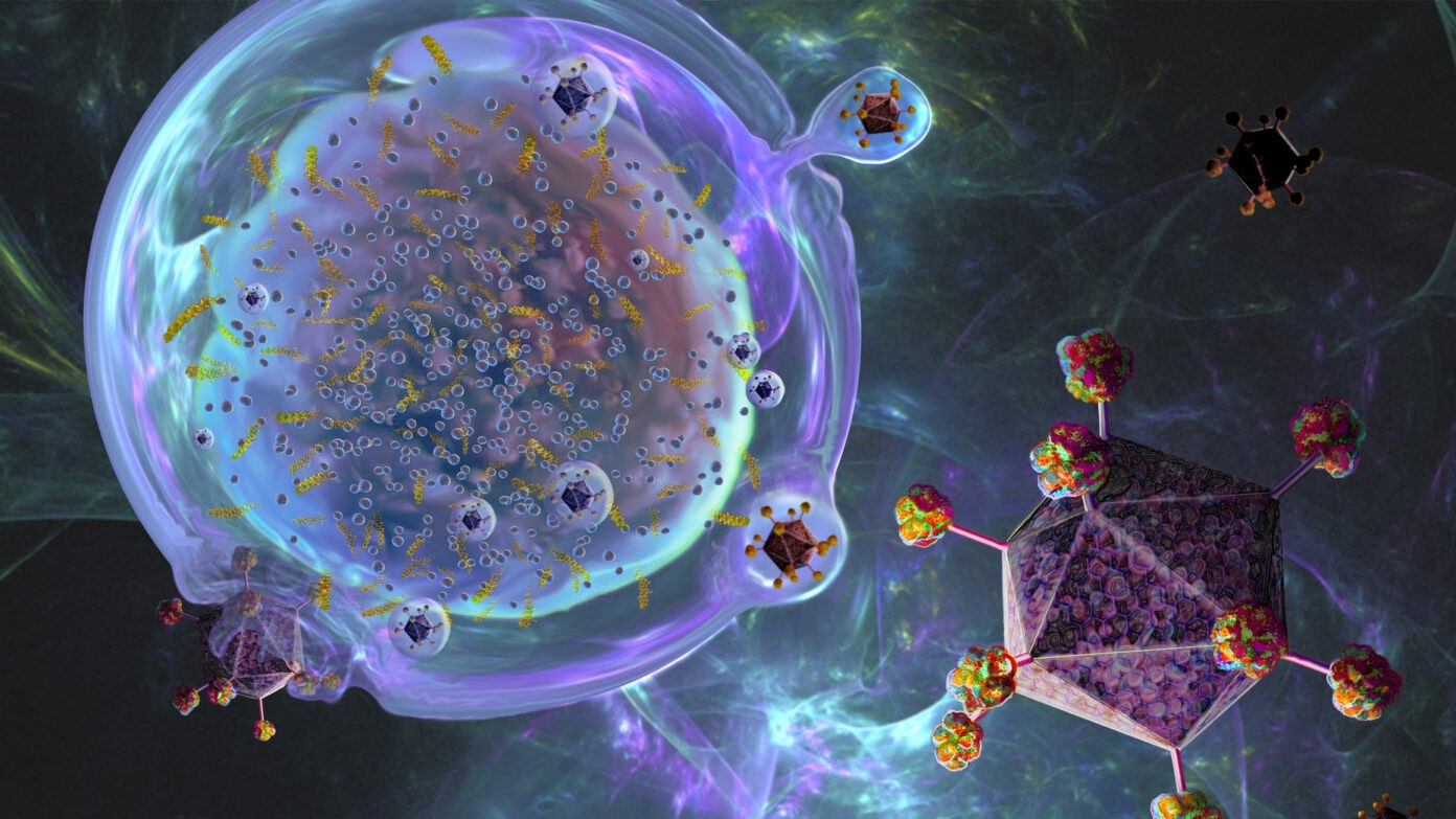 CAR-T Cell Therapy