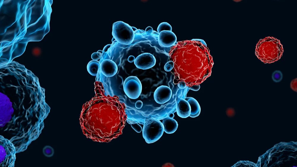 CAR T-cells