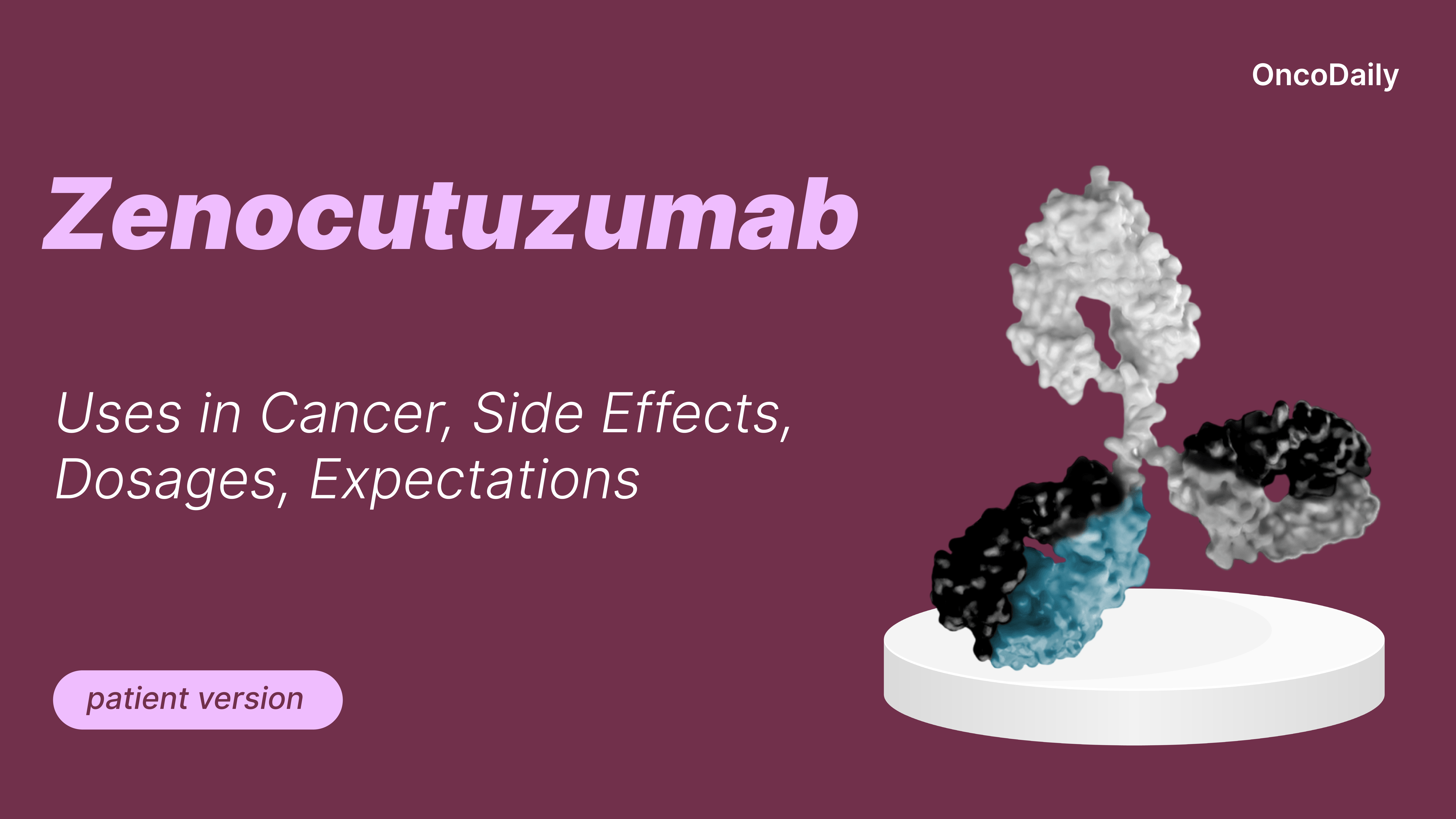 zenocutuzumab patient version