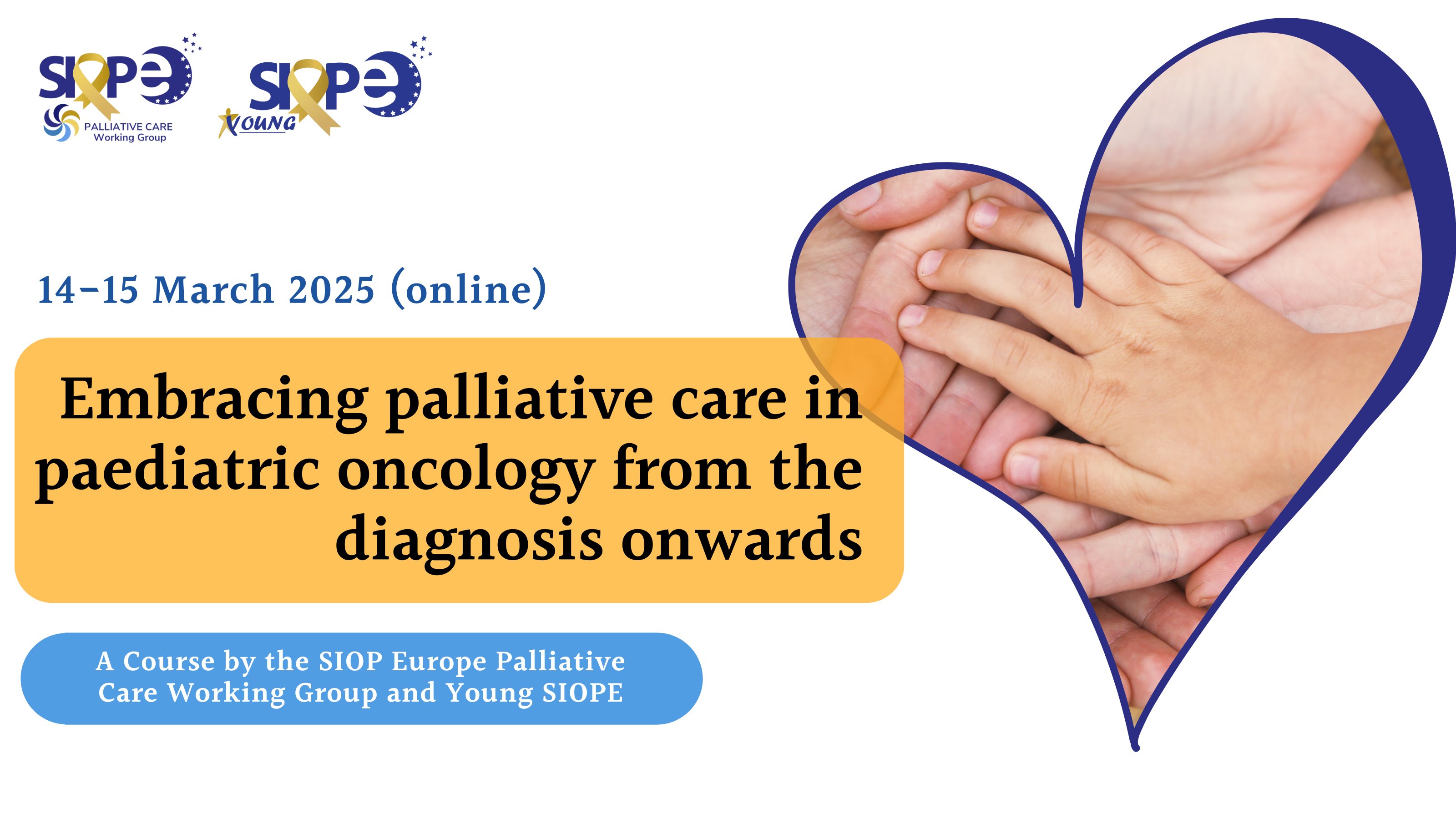 Palliative Care Working Group
