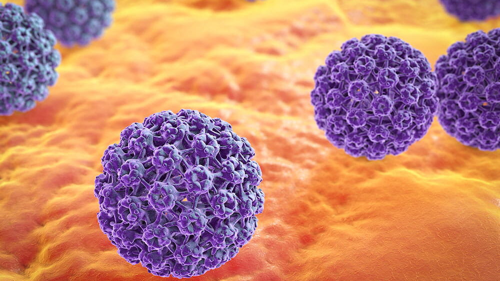 European Cancer Organisation