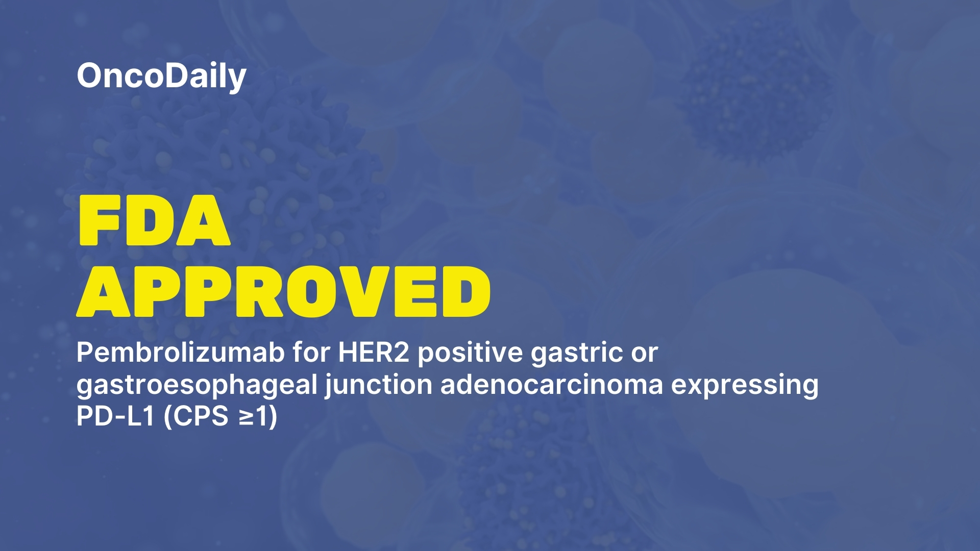 Pembrolizumab for HER2 positive gastric tumors
