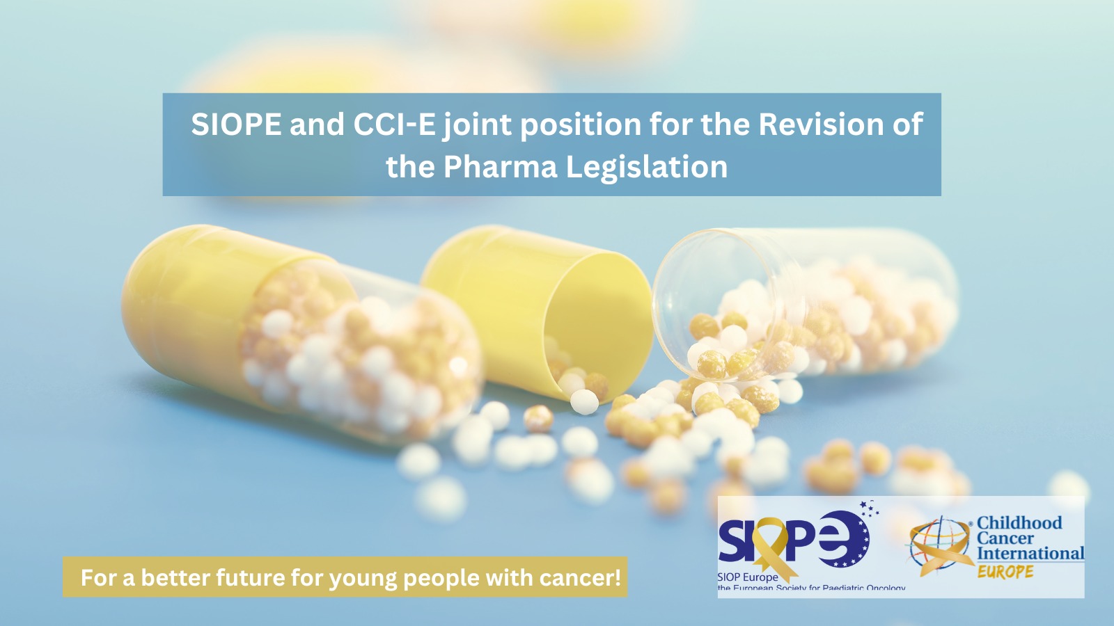 SIOP Europe
