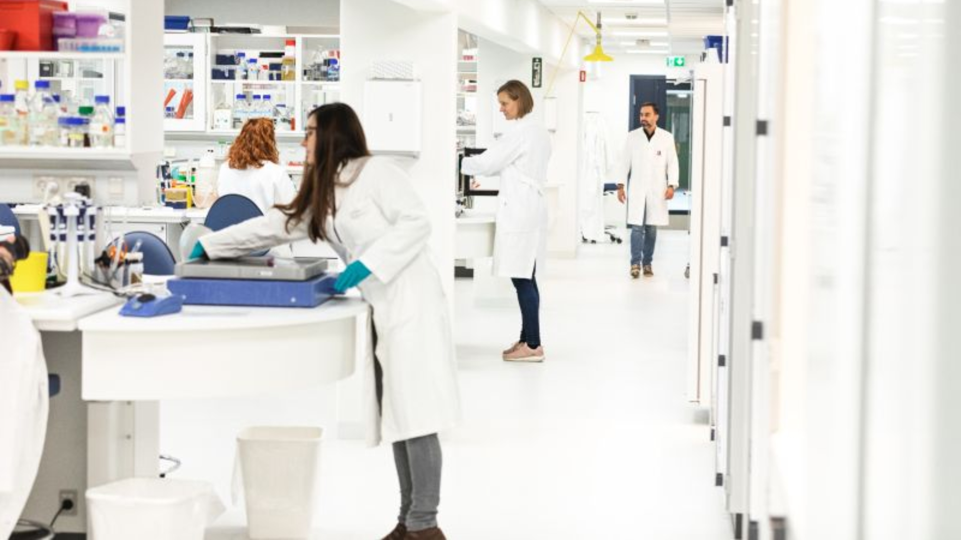 Danish Cancer Institute