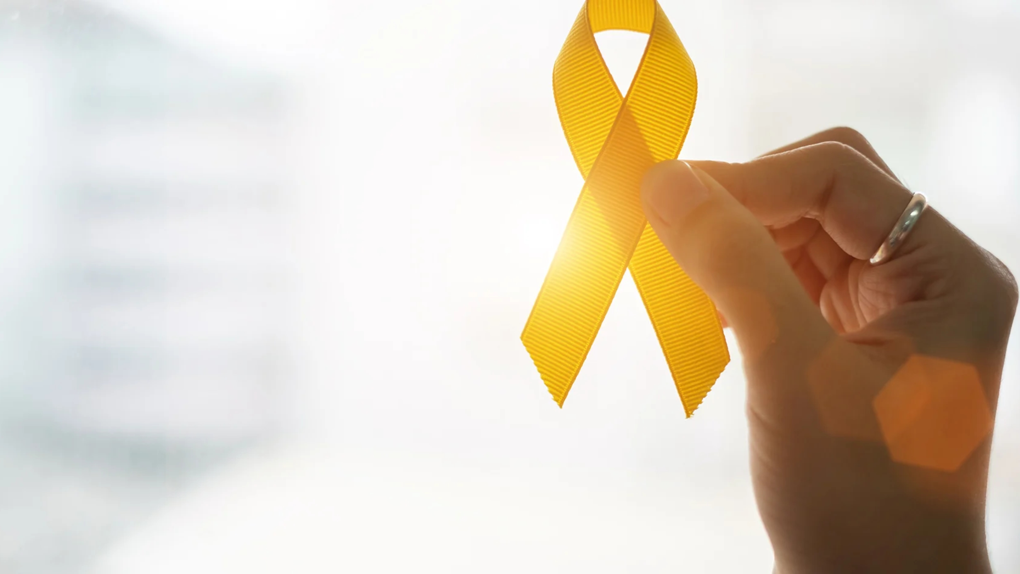 The Institute of Cancer Research