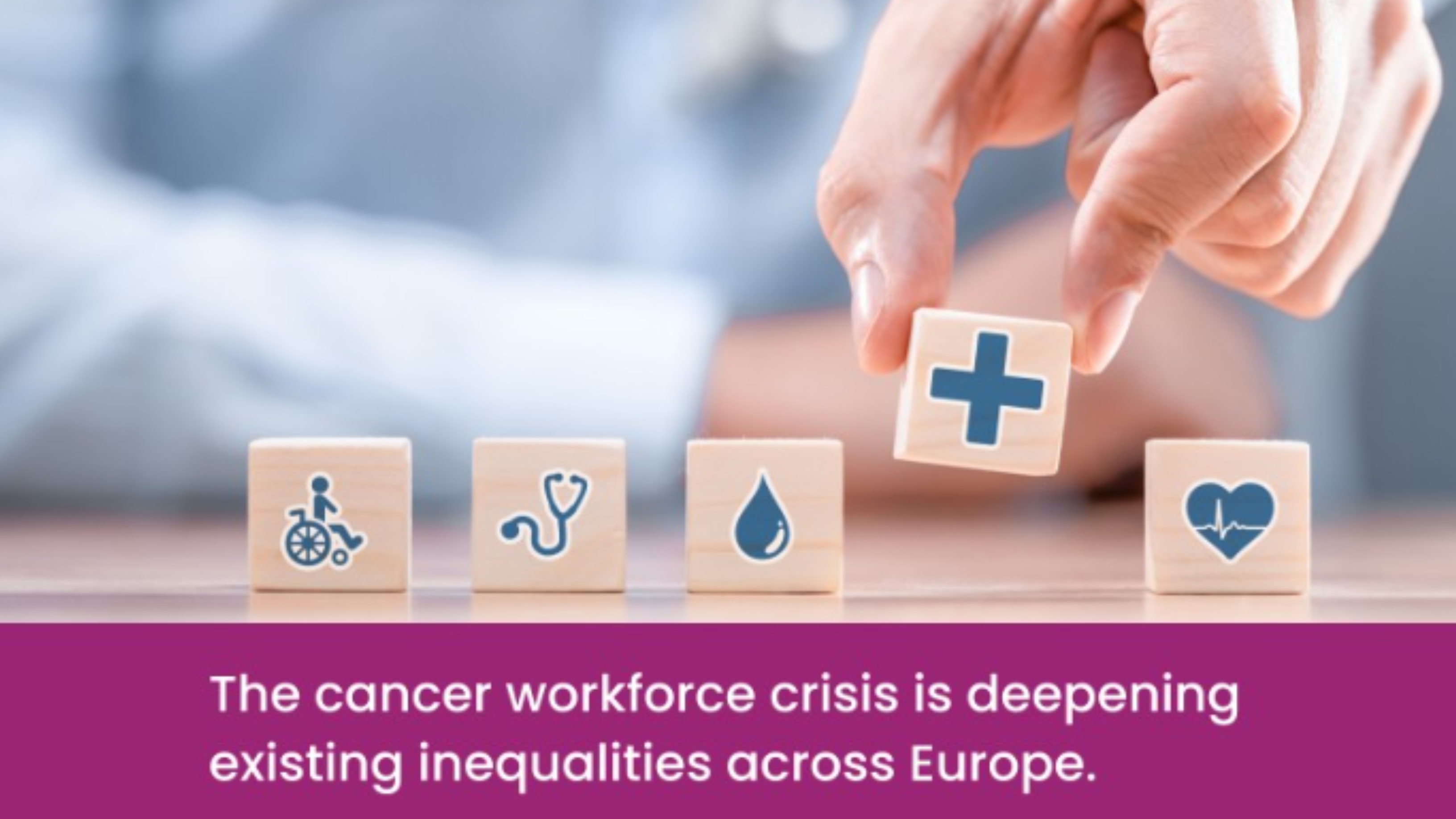 European Cancer Organisation