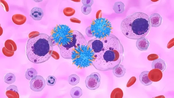 CD38-Based Quadruplets