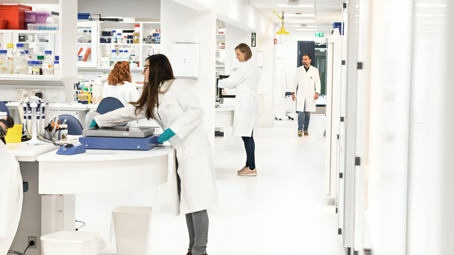 Genome Integrity Group