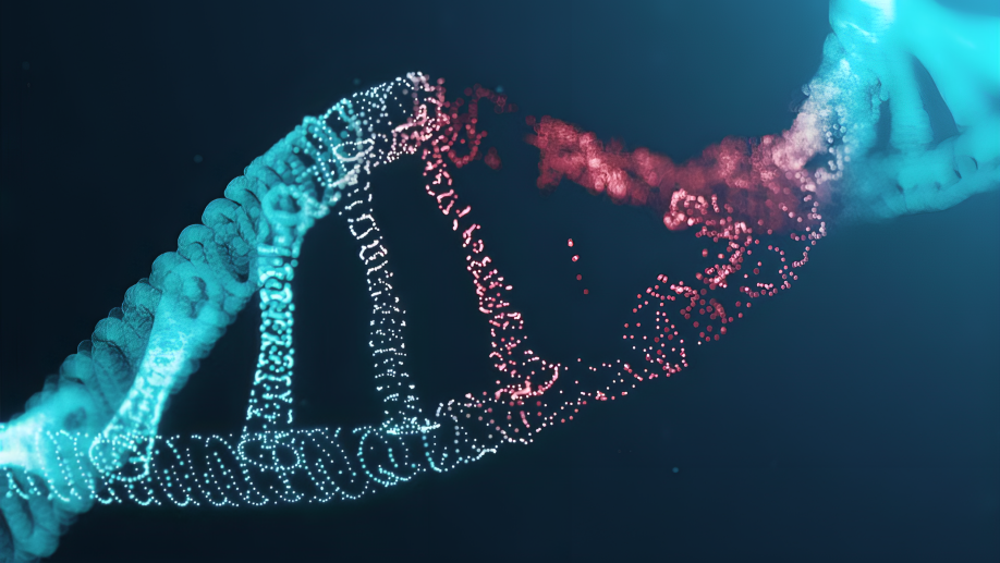 BRCA2 gene
